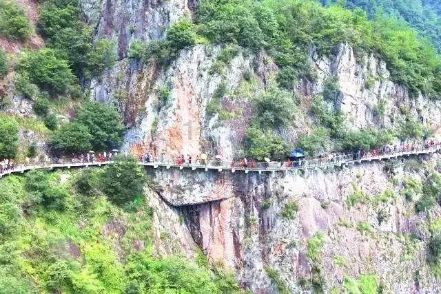 《山东现代化强省建设研究丛书》发布